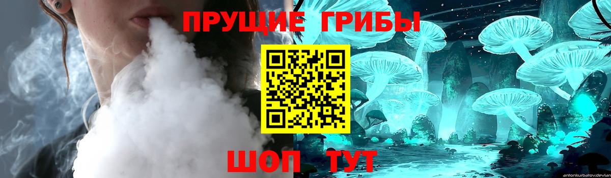Белово  Псилоцибиновые грибы MAGIC MUSHROOMS  Вход с VPN  Псилоцибиновые грибы мухоморы 